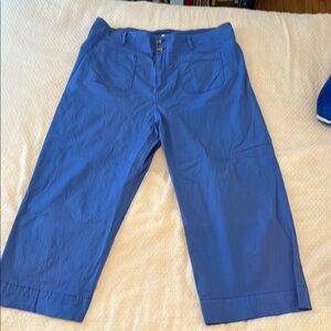 LC Lauren Conrad Royal Blue Pants